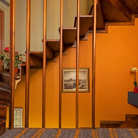 Wonder Wood イスタンブール