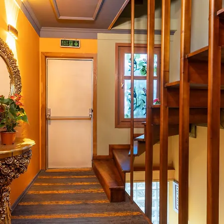 לינה וארוחת בוקר Wonder Wood