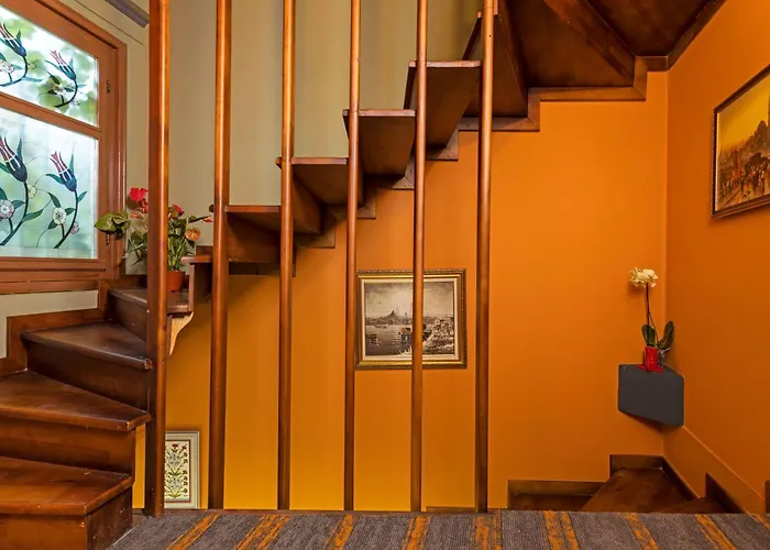 Wonder Wood Istambul