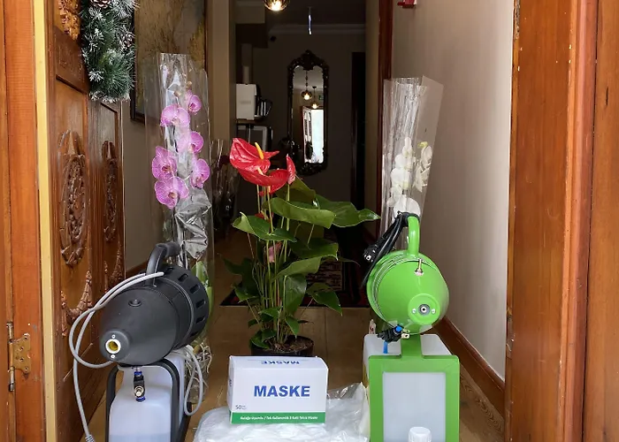 Wonder Wood Alojamento de Acomodação e Pequeno-almoço 3*